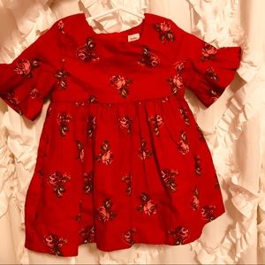 baby GAP NWOT fall dress size 12-18 months
